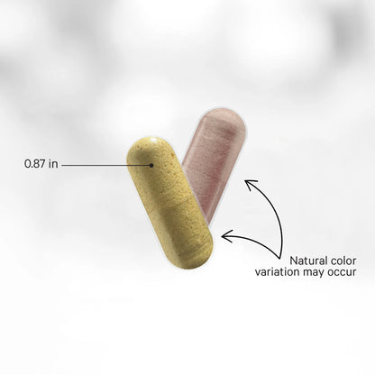 SBO Probiotic + 50 Billion Cfus